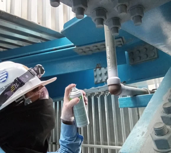 WhatsApp Image 2025-12-12 at 12.30.25