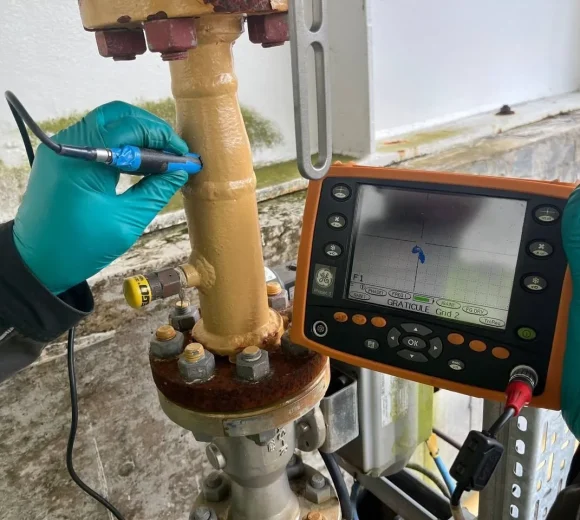 WhatsApp Image 2025-12-14 at 12.11.58